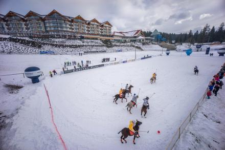 Bukovina Polo Master 2014
