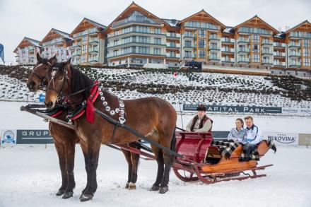 Bukovina Polo Master 2014